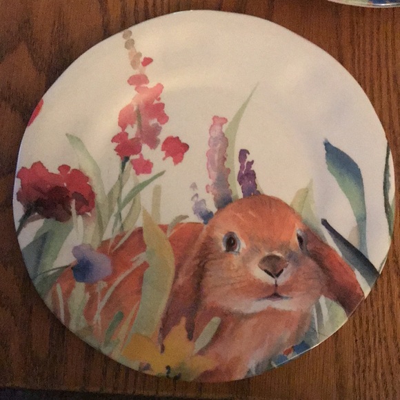 Two Bunny Rabbit Melamine 9” Plates - Picture 3 of 6
